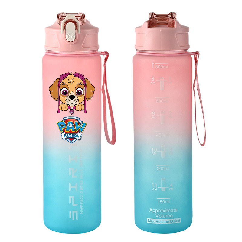 800ml PAW Patrol Sports Water  - đánh giá và giá Tech Home Accessories