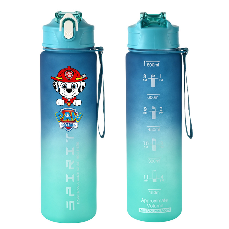 800ml PAW Patrol Sports Water  - đánh giá và giá Tech Home Accessories